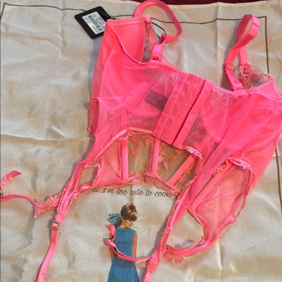NWT Honey Birdette SABRINA Candy Pink Lace Bustier 36F - Picture 3 of 5